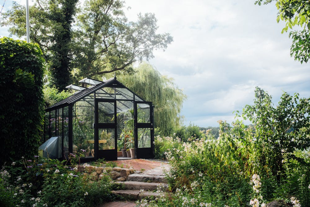 a green garden with a greenhouse with black framing